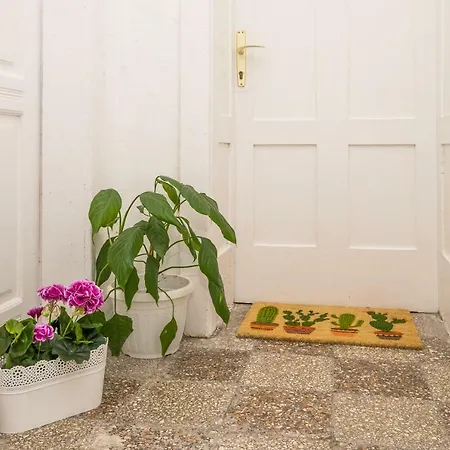Kaktus Apartamento *